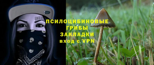 ешки Богданович