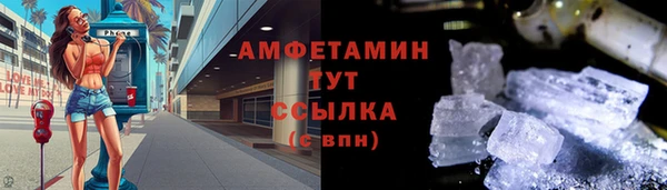 индика Богородицк