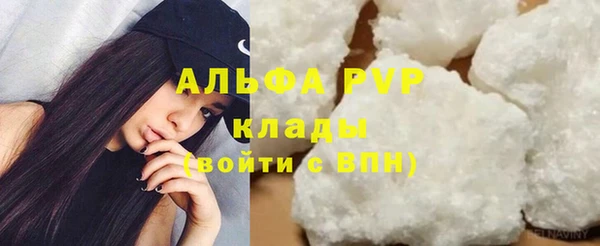 ешки Богданович