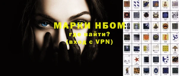 индика Богородицк