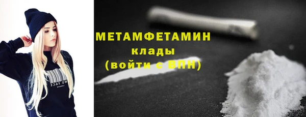 индика Богородицк