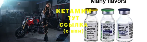 индика Богородицк