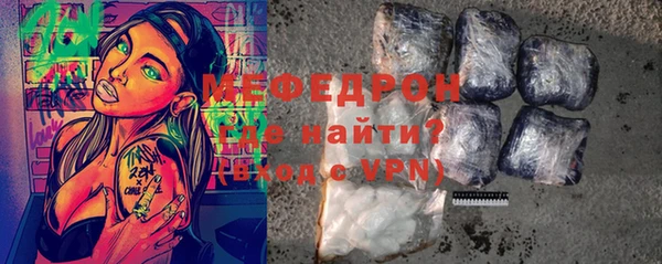 индика Богородицк