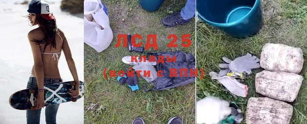 индика Богородицк