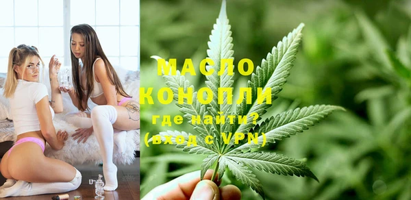 индика Богородицк