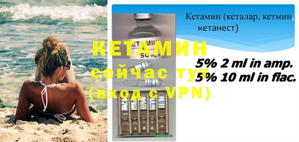 индика Богородицк