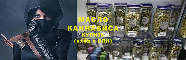 индика Богородицк